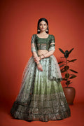 Jyoti Fashion Women's Mehendi Heavy Chinon Sequins Embroidered Designer Lehenga Choli Set