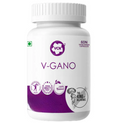 VCN V-Gano Diabetes Capsules - Distacart