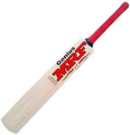 Xtroke Popular Willow Cricket Bat with Cover (Size 6) - Distacart