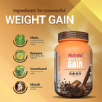 Patanjali Nutrela Weight Gain Chocolate Flavour - Distacart