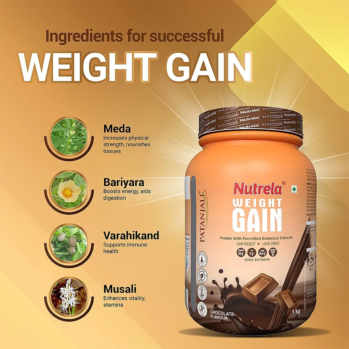 Patanjali Nutrela Weight Gain Chocolate Flavour - Distacart
