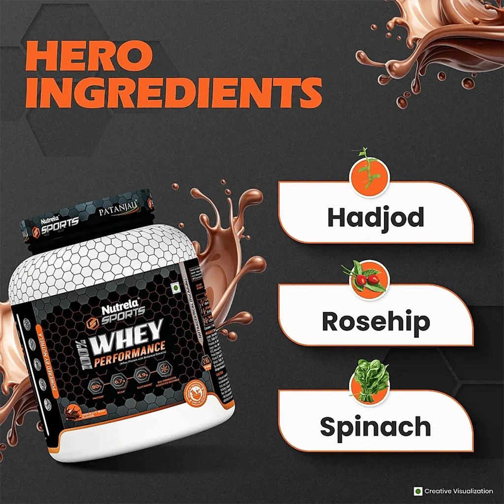 Patanjali Nutrela Sports Whey Performance (Choc-irish) - Distacart
