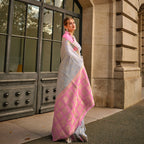 Coine Grey Handloom Khaddi Silk Saree With Contrast Pallu & Blouse - Rajtex Khwaab Silk