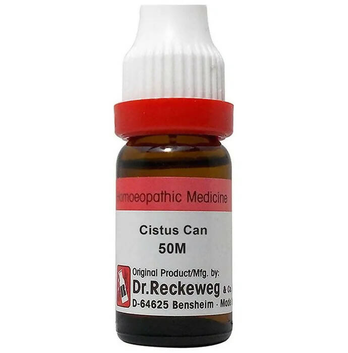 Dr. Reckeweg Cistus Can Dilution - Distacart