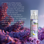 VLCC Body Mist Fragrance - Velvet Symphony