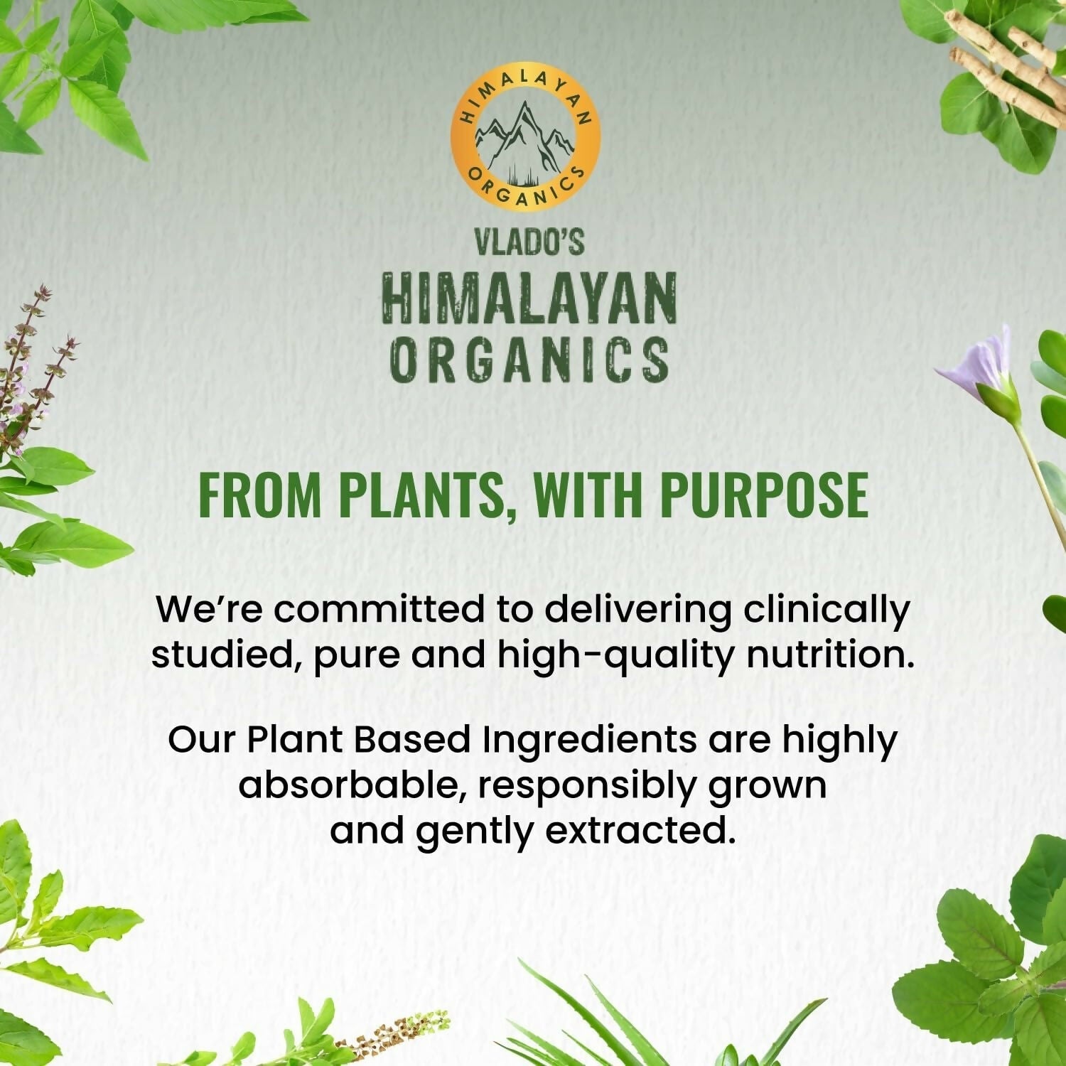 Himalayan Organics Vlado�s Plant Based 600iU Supplement Vitamin D3 + K2