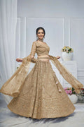Kesar Fab Brown Net Embroidered Lehenga