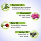 Keya Seth Aromatherapy 32 Star Dental & Gum Solution Essential Oil