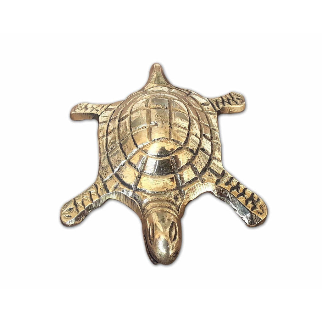 Tortoise with Small Brass Plate