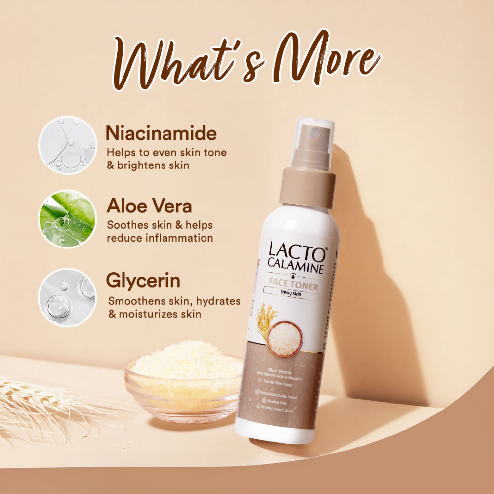 Lacto Calamine Rice Toner - Korean Skincare for Glass Skin - Distacart