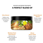 De Fabulous Reviver Hair Repair Treatment