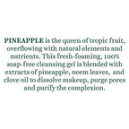 Biotique Advanced Ayurveda Bio Pineapple Oil Control Foaming Face Cleanser - Distacart