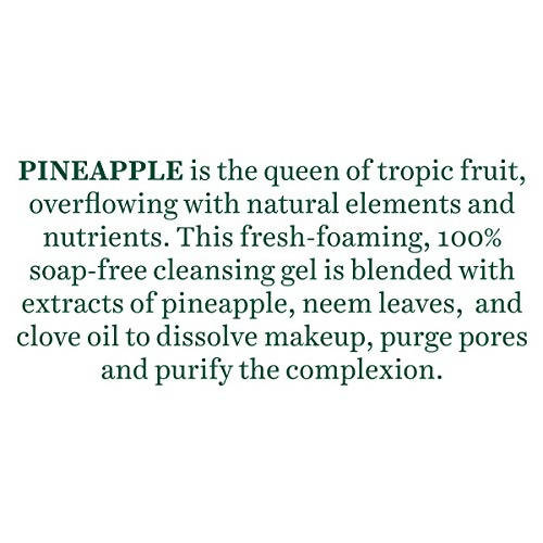 Biotique Advanced Ayurveda Bio Pineapple Oil Control Foaming Face Cleanser - Distacart