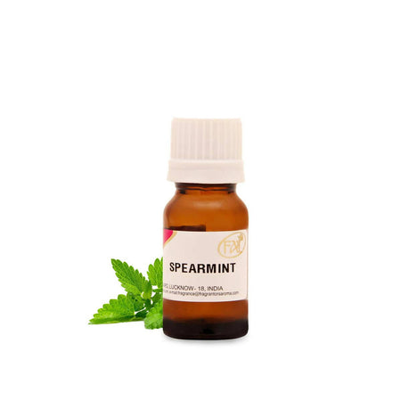 Fragrantors Spearmint Essential Oils