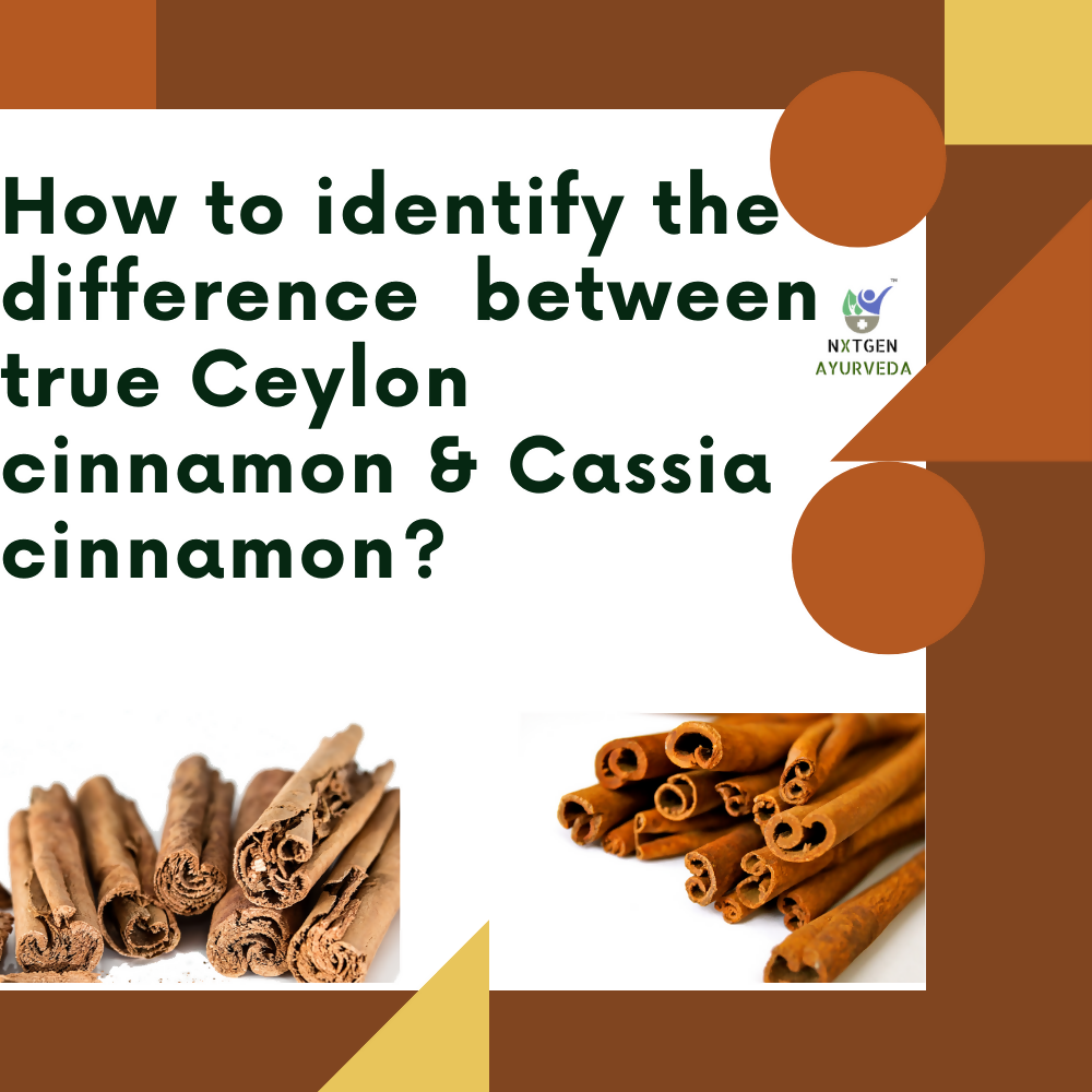 Nxtgen Ayurveda Ceylon Cinnamon Sticks - Distacart