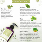Glamveda Anti Dandruff & Healthy Hydration Tea Tree Conditioner