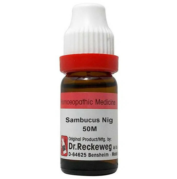 Dr. Reckeweg Sambucus Nig Dilution - Distacart