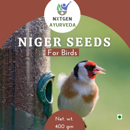 Nxtgen Ayurveda Niger Seeds for Birds