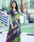 DEIANA'S Beautiful Designer Golden zari Soft Lichi Silk Saree - Mehndi