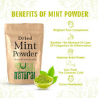 Shuddh Natural Mint Powder - Aromatic Flavor - Distacart
