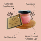 Aaranyam Rose & Coconut Lip Balm