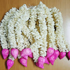Solawood Lotus Hangings for house warming