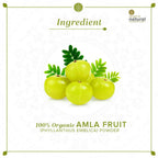 Khadi Natural Organic Amla Fruit Powder