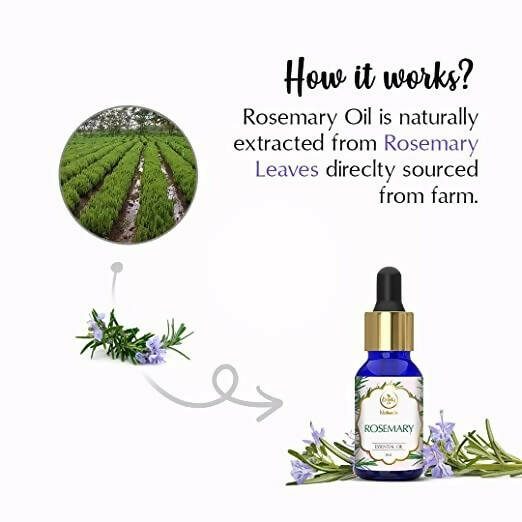 The Beauty Co. Rosemary Essential Oil
