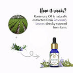 The Beauty Co. Rosemary Essential Oil