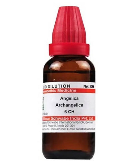 Dr. Willmar Schwabe India Angelica Archangelica Dilution