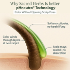 Sacred Herbs Ammonia & PPd Free Natural Organic Gel Dark Brown Hair Color For Men & Women - Distacart