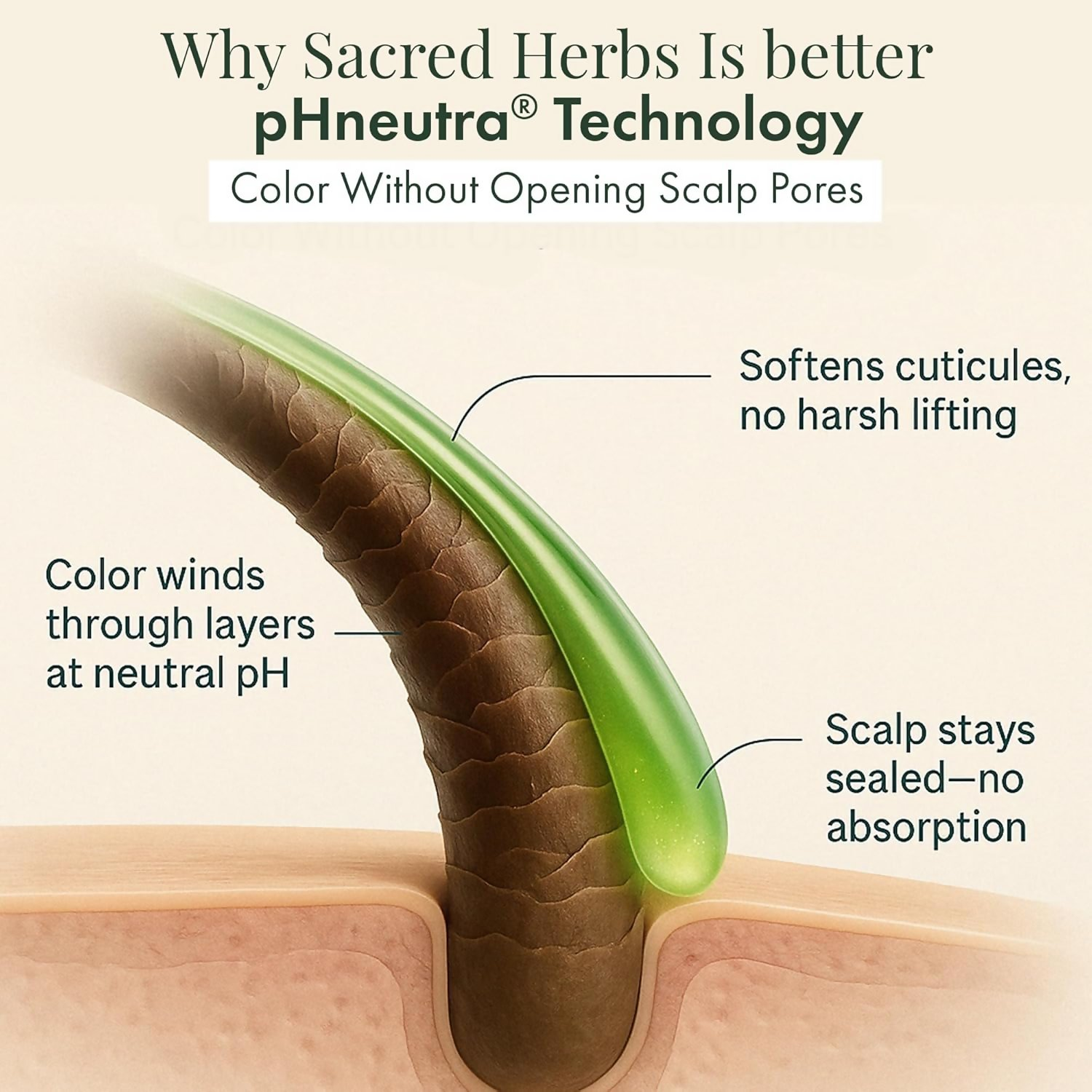 Sacred Herbs Ammonia & PPd Free Natural Organic Gel Dark Brown Hair Color For Men & Women - Distacart