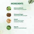Dr. Vaidya's Pain Relief Capsules - Distacart