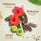Mamaearth Kerala Thaali Shampoo - Distacart