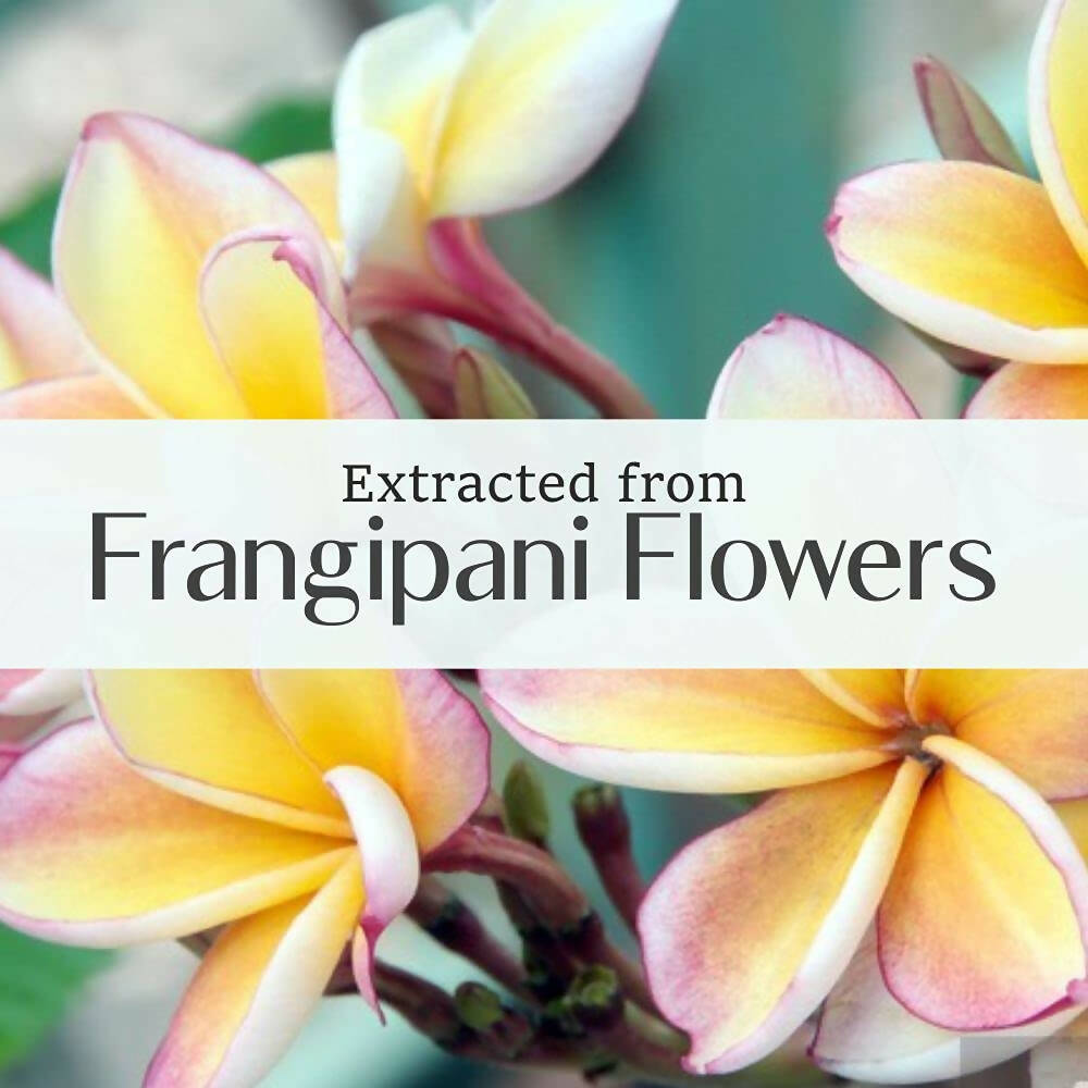 Old Tree Frangipani Essential Oil