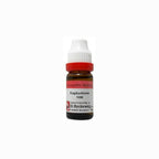 Dr. Reckeweg Euphorbium Dilution - Distacart