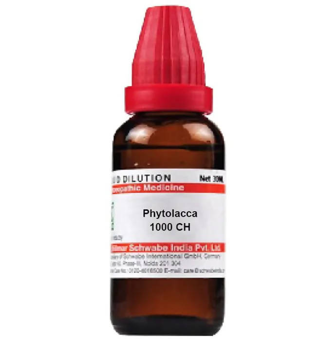 Dr. Willmar Schwabe India Phytolacca Dilution - Distacart