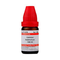 Dr. Willmar Schwabe India Cadmium Sulphuricum Dilution - Distacart