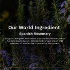 Pilgrim Spanish Rosemary & Biotin Anti Hairfall Shampoo For Reducing Hair Loss & Breakage - Distacart
