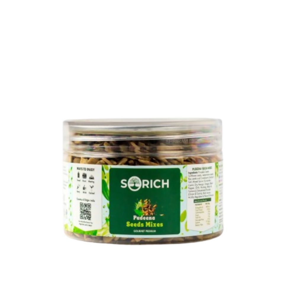 Sorich Organics Pudina Treat Seeds Mix - Distacart