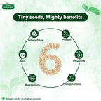 Tata Sampann Premium Sunflower Seeds - Distacart