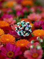 Inhanns Rang-E-Roshan Adjustable Ring – Handmade Crystal Statement Ring - Multicolor 1