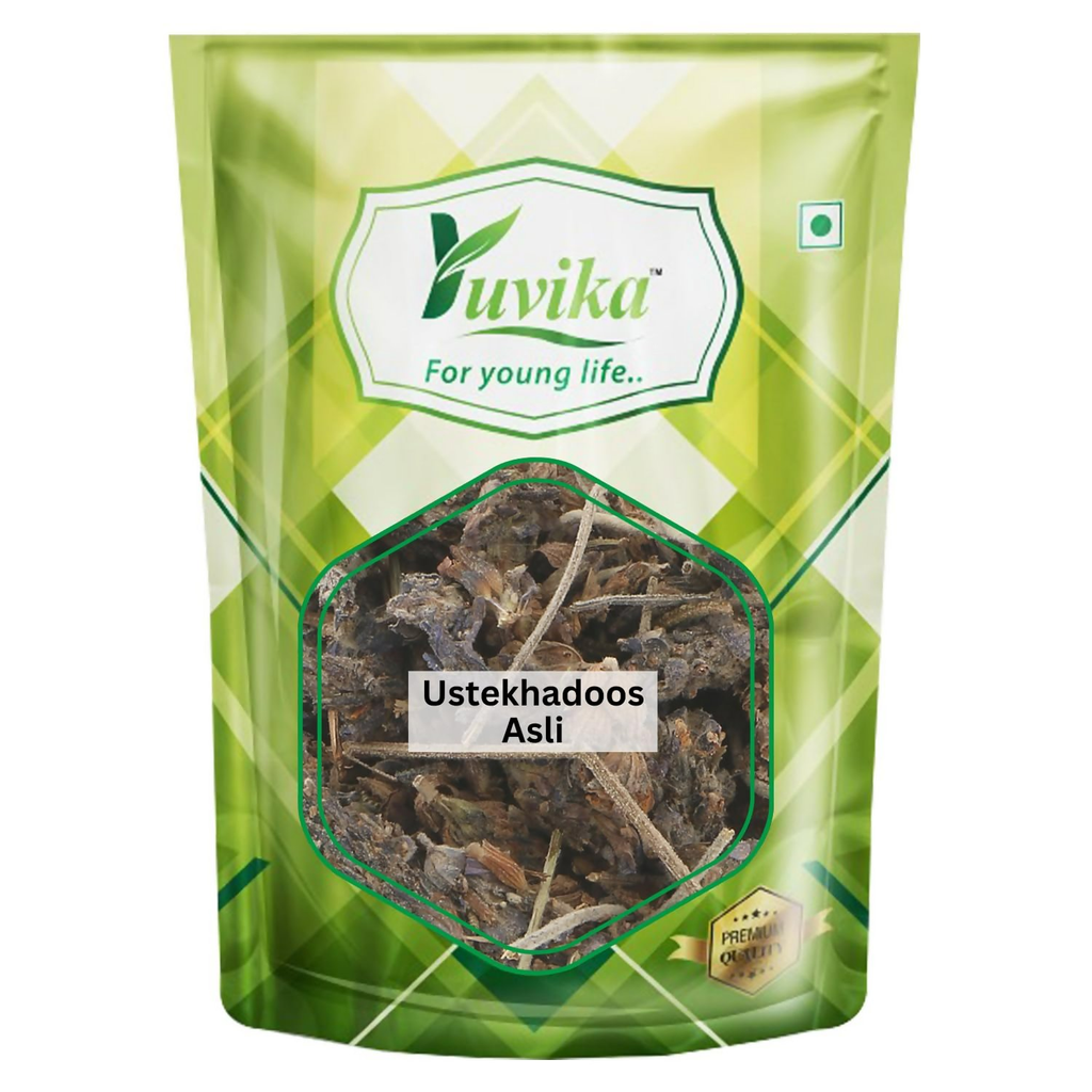 Yuvika Ustekhadoos Asli - Uste Khadus - Lavandula Stoechas - Arabian Lavende