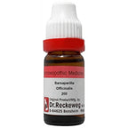 Dr. Reckeweg Sarsaparilla Officinalis Dilution - Distacart
