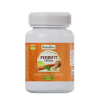 Rajasthan Herbals Febrifit Capsules - Distacart