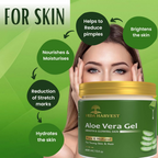 Veda Harvest Aloe Vera Gel Moisturizer For Oily Skin