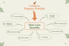 VedaRasa Papaya Powder