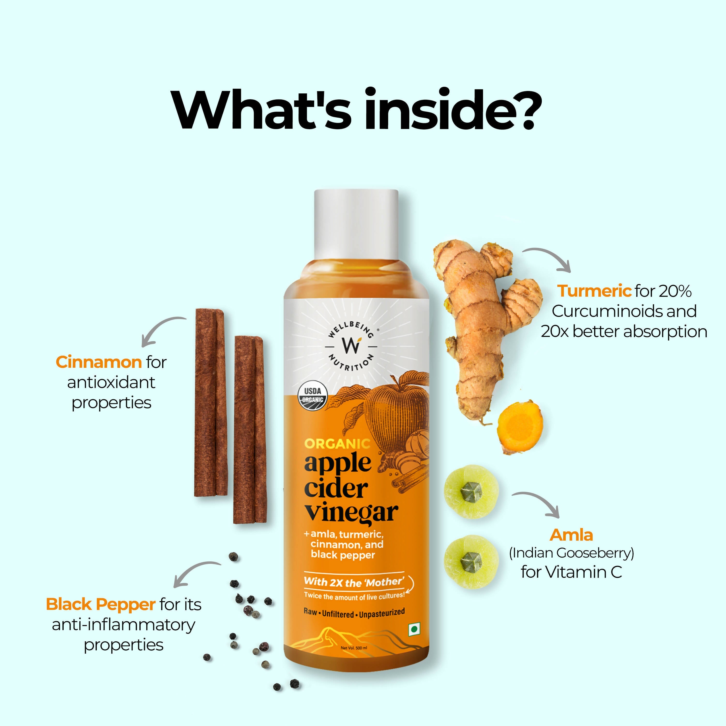 Wellbeing Nutrition Apple Cider Vinegar with Amla And Turmeric - Distacart