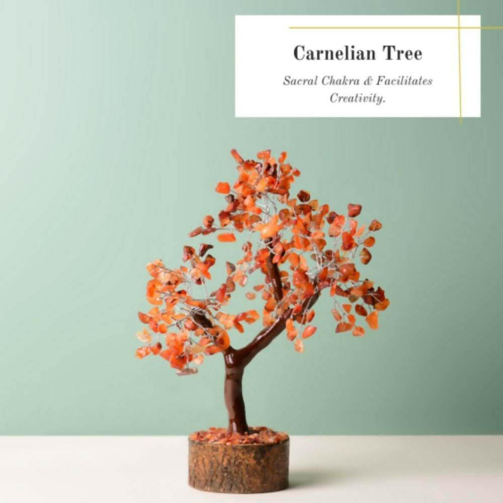 B 300TREE CA (2)