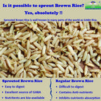 TummyFriendly Foods Certified Organic Sprouted Brown Rice, Red Lentil, Spinach, Green Peas Porridge Mix - Distacart